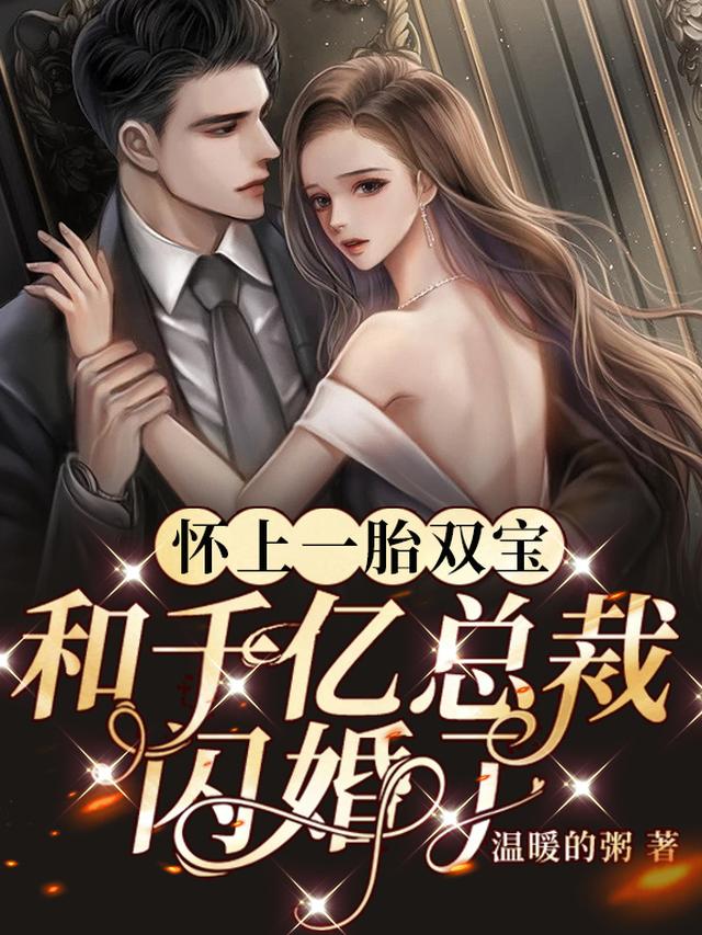 怀上一胎双宝,和千亿总裁闪婚了